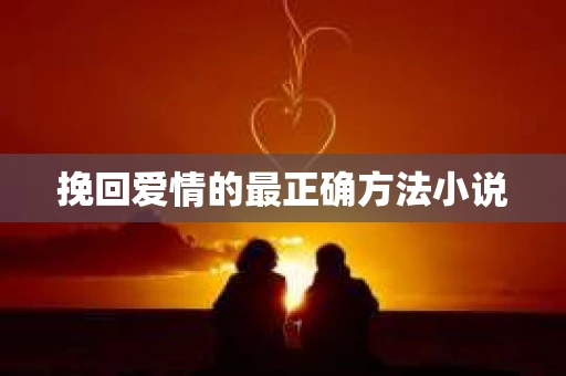 挽回爱情的最正确方法小说