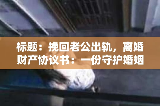标题：挽回老公出轨，离婚财产协议书：一份守护婚姻与财产的明智选择