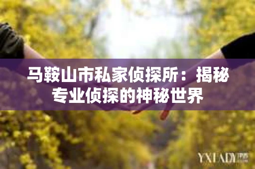 马鞍山市私家侦探所：揭秘专业侦探的神秘世界