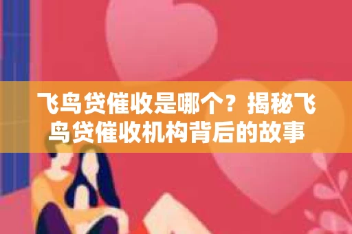 飞鸟贷催收是哪个？揭秘飞鸟贷催收机构背后的故事