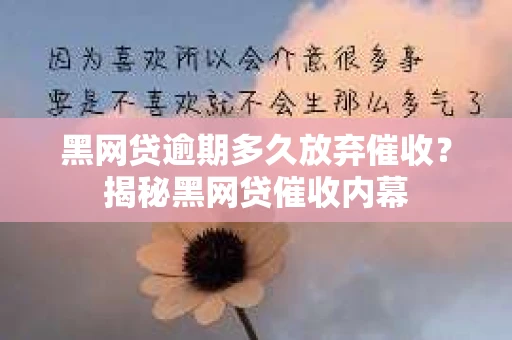 黑网贷逾期多久放弃催收？揭秘黑网贷催收内幕