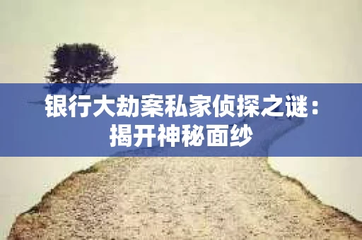 银行大劫案私家侦探之谜：揭开神秘面纱