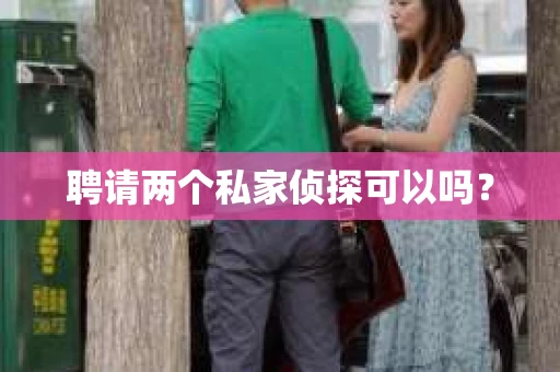 聘请两个私家侦探可以吗? 聘请两个私家侦探可以吗?