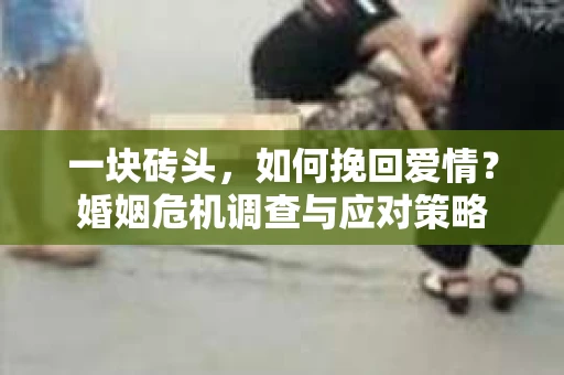 一块砖头，如何挽回爱情？婚姻危机调查与应对策略