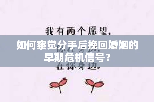如何察觉分手后挽回婚姻的早期危机信号？