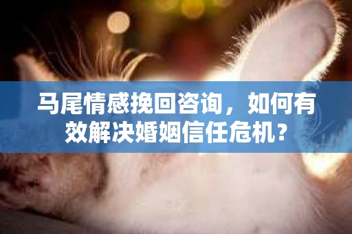 马尾情感挽回咨询，如何有效解决婚姻信任危机？